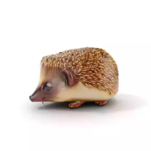 Hedgehog D Model Pack with Detailed Texturing Low-poly 3D model