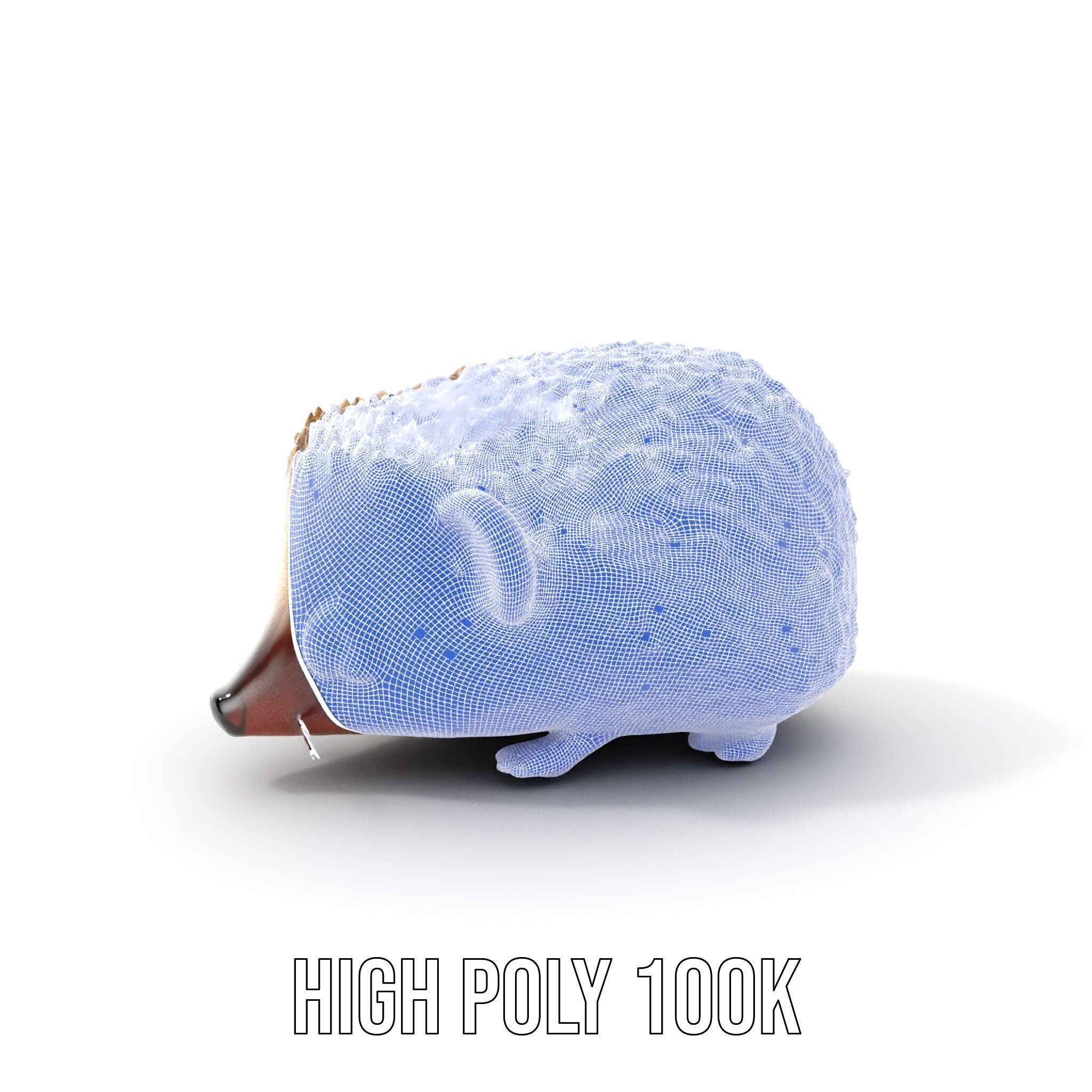 Hedgehog D Model Pack with Detailed Texturing Low-poly 3D model_4