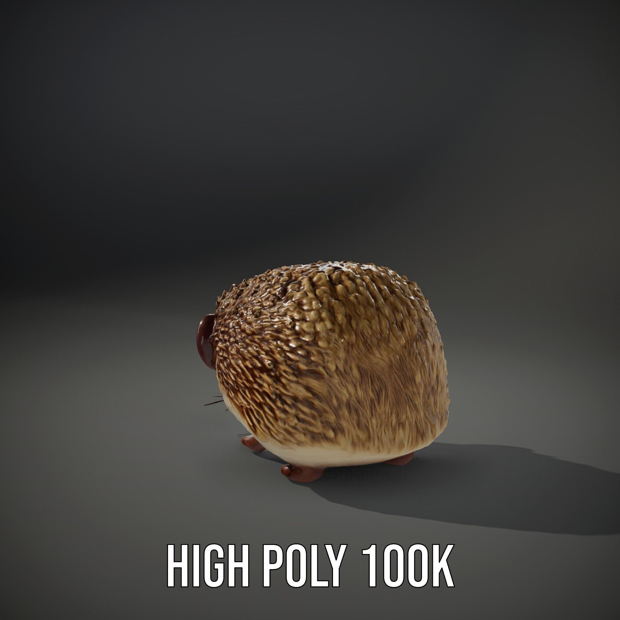 Hedgehog D Model Pack with Detailed Texturing Low-poly 3D model_11