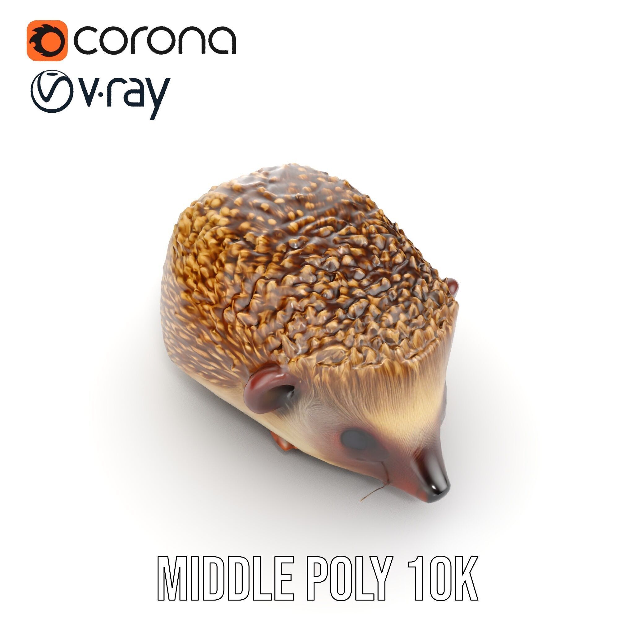 Hedgehog D Model Pack with Detailed Texturing Low-poly 3D model_9