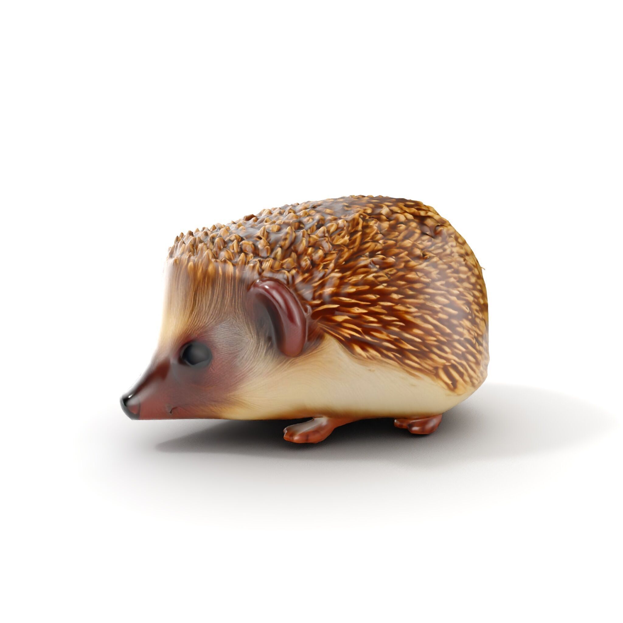 Hedgehog D Model Pack with Detailed Texturing Low-poly 3D model_12