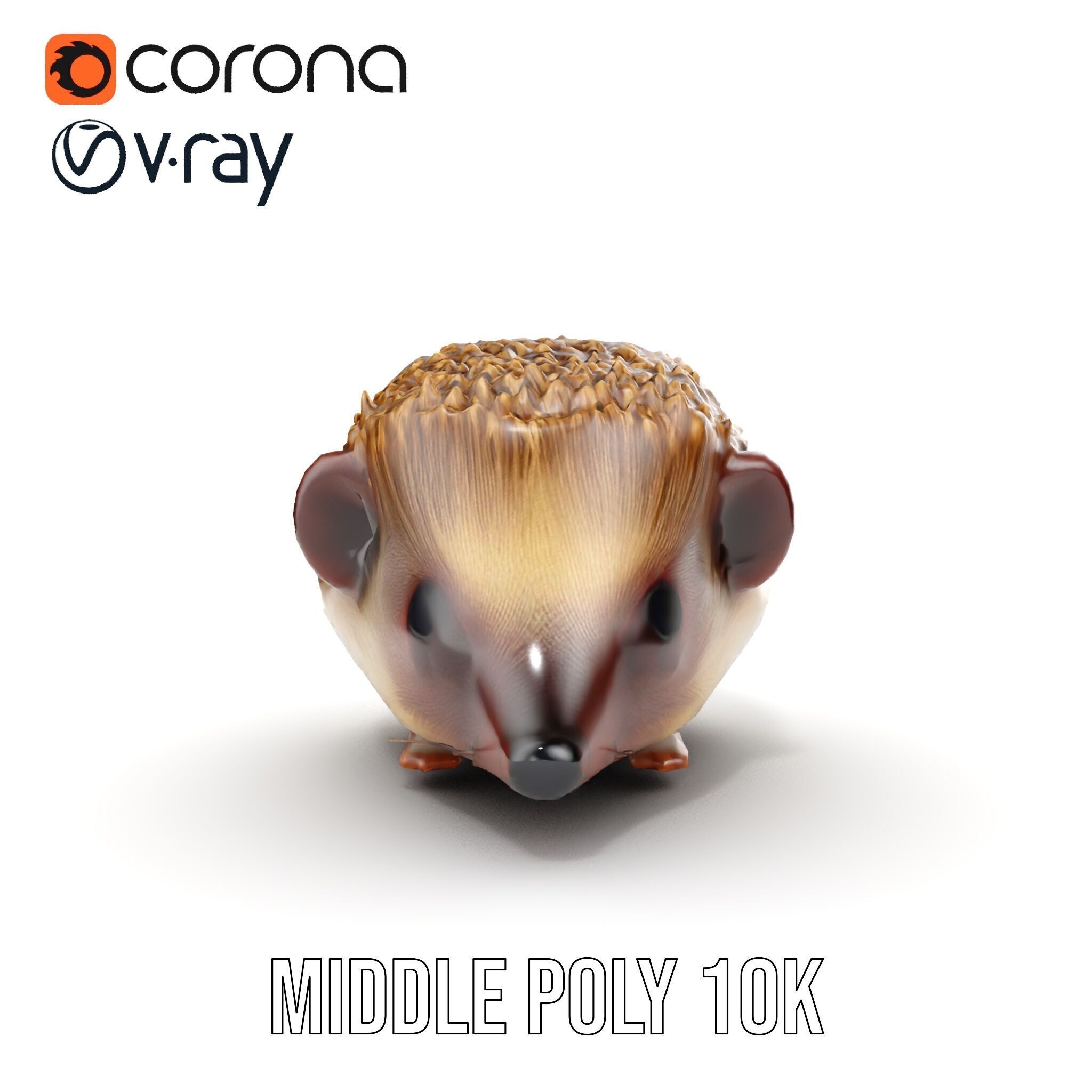 Hedgehog D Model Pack with Detailed Texturing Low-poly 3D model_15