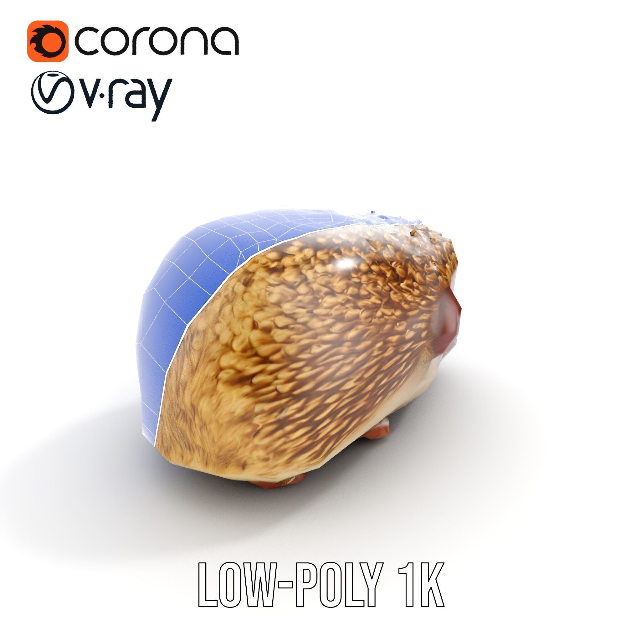 Hedgehog D Model Pack with Detailed Texturing Low-poly 3D model_16