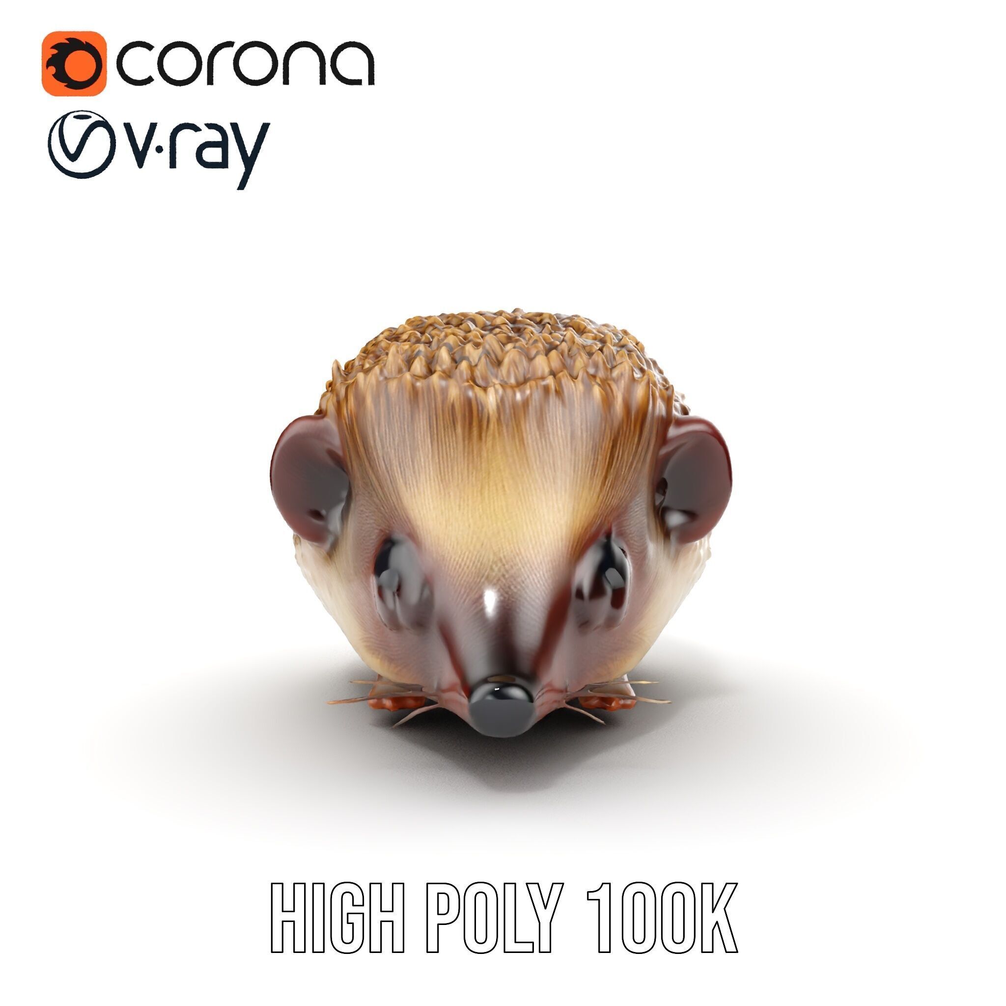 Hedgehog D Model Pack with Detailed Texturing Low-poly 3D model_26