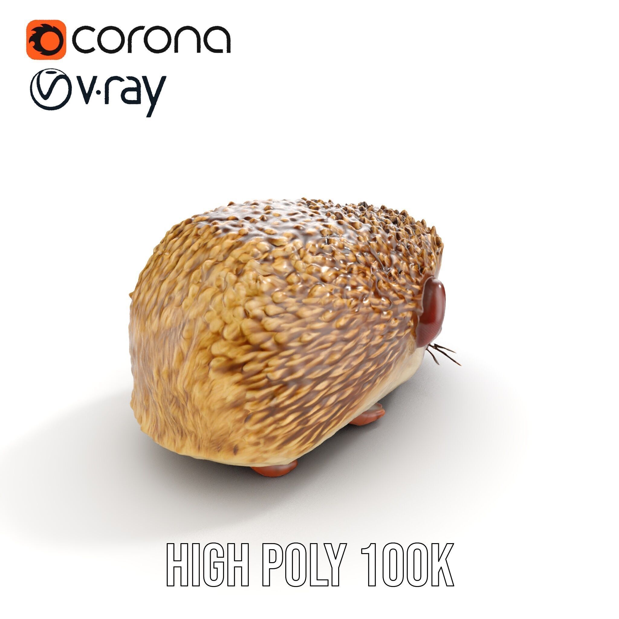 Hedgehog D Model Pack with Detailed Texturing Low-poly 3D model_21
