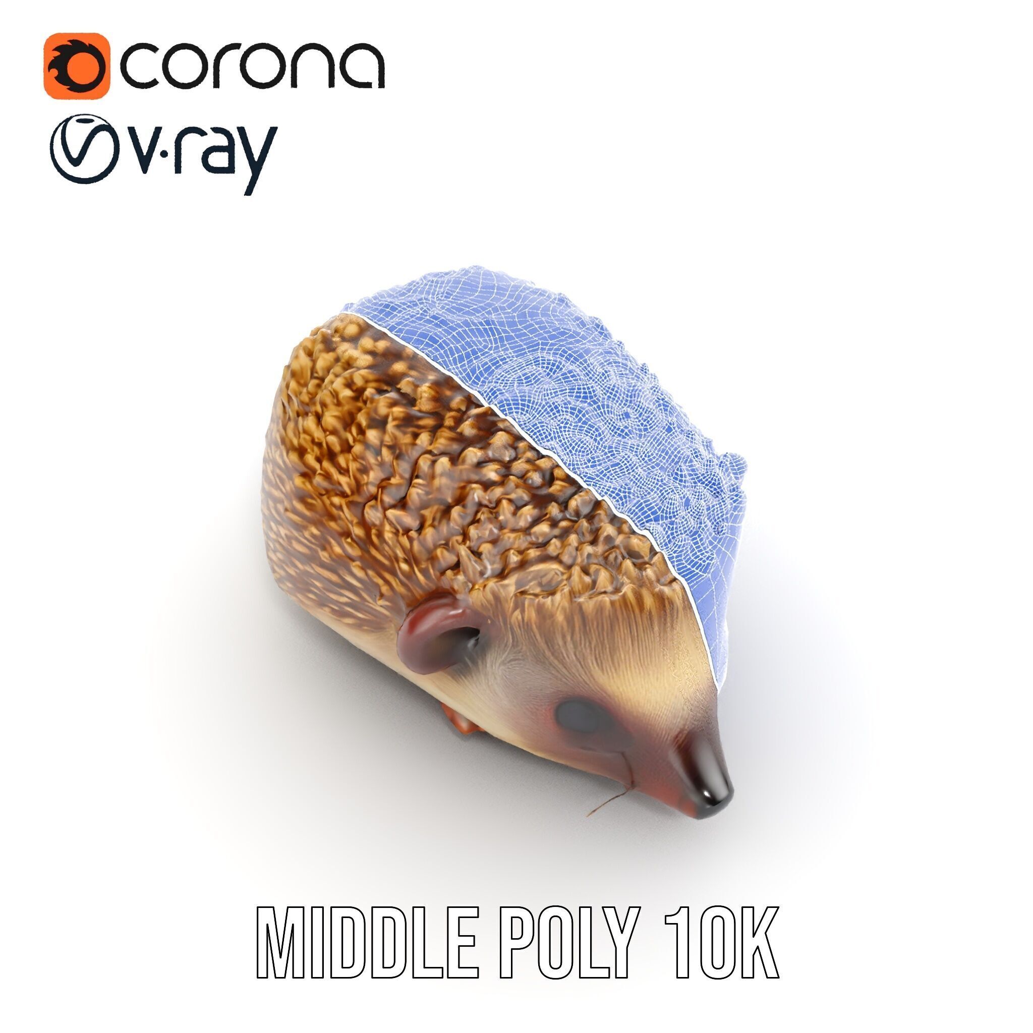 Hedgehog D Model Pack with Detailed Texturing Low-poly 3D model_24