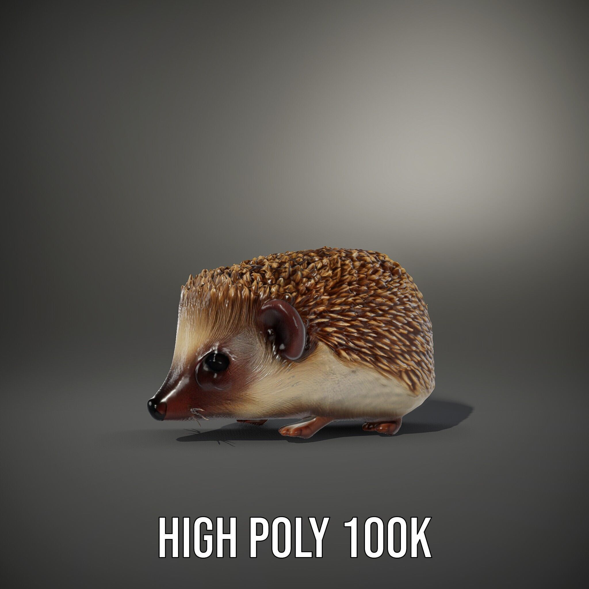 Hedgehog D Model Pack with Detailed Texturing Low-poly 3D model_8