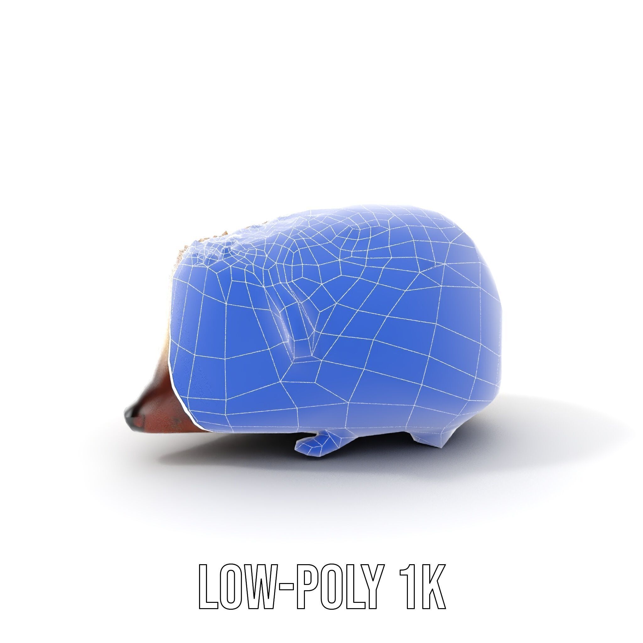 Hedgehog D Model Pack with Detailed Texturing Low-poly 3D model_20
