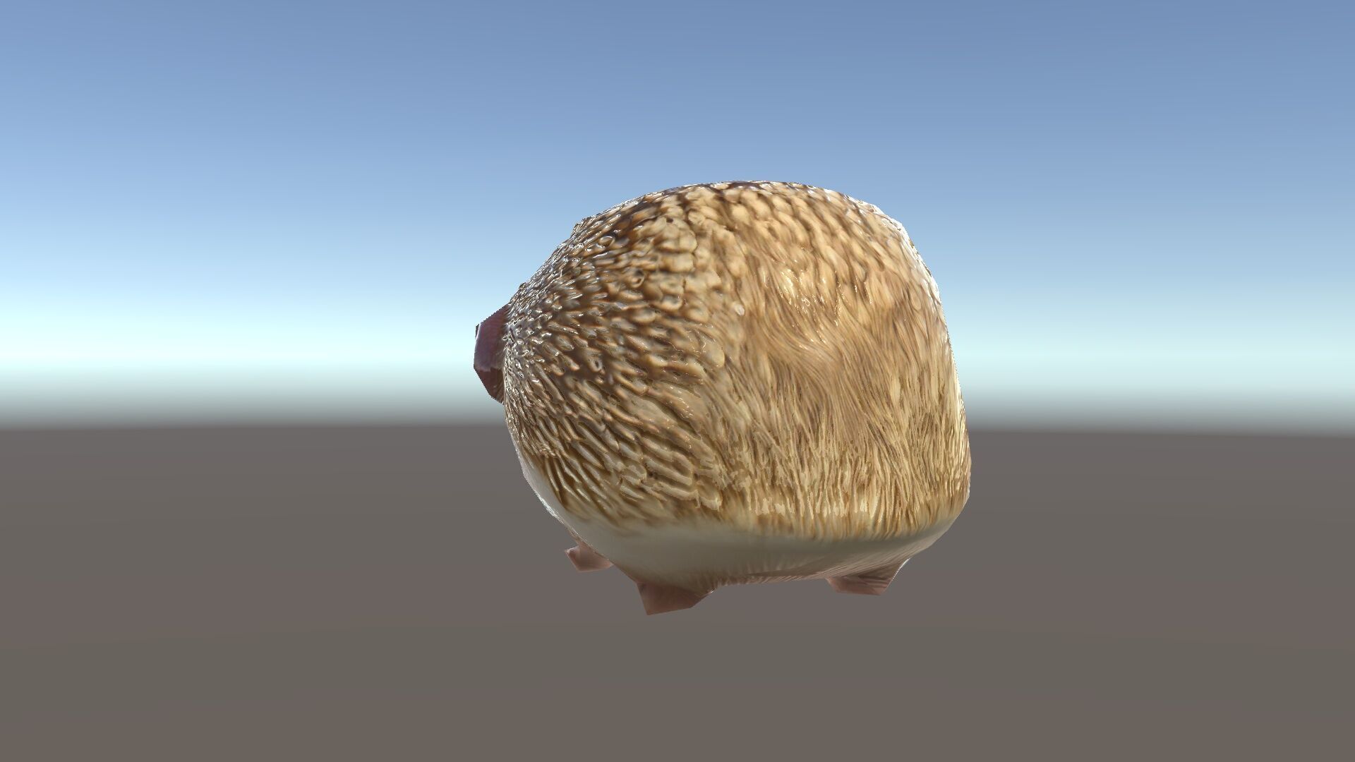 Hedgehog D Model Pack with Detailed Texturing Low-poly 3D model_34