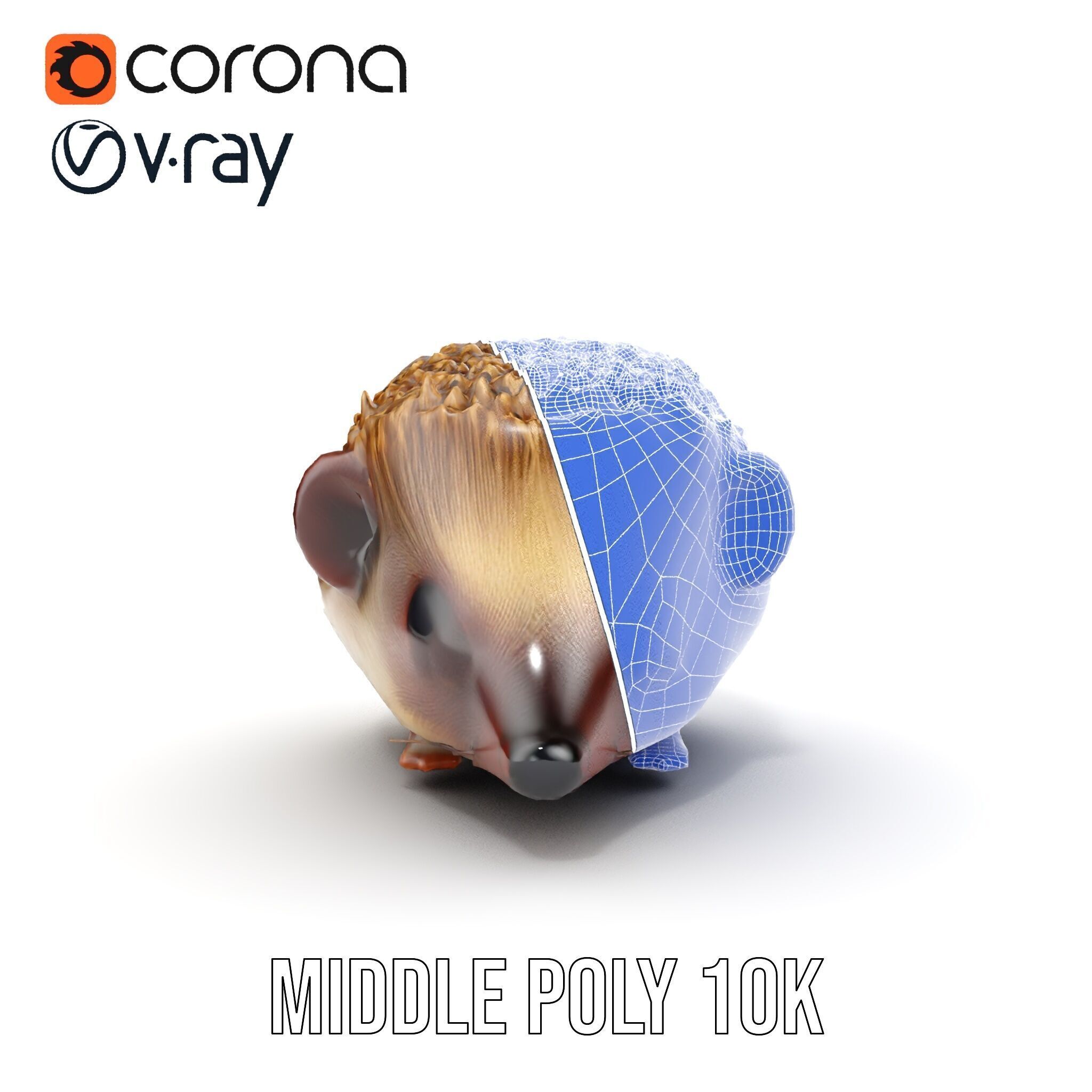 Hedgehog D Model Pack with Detailed Texturing Low-poly 3D model_30