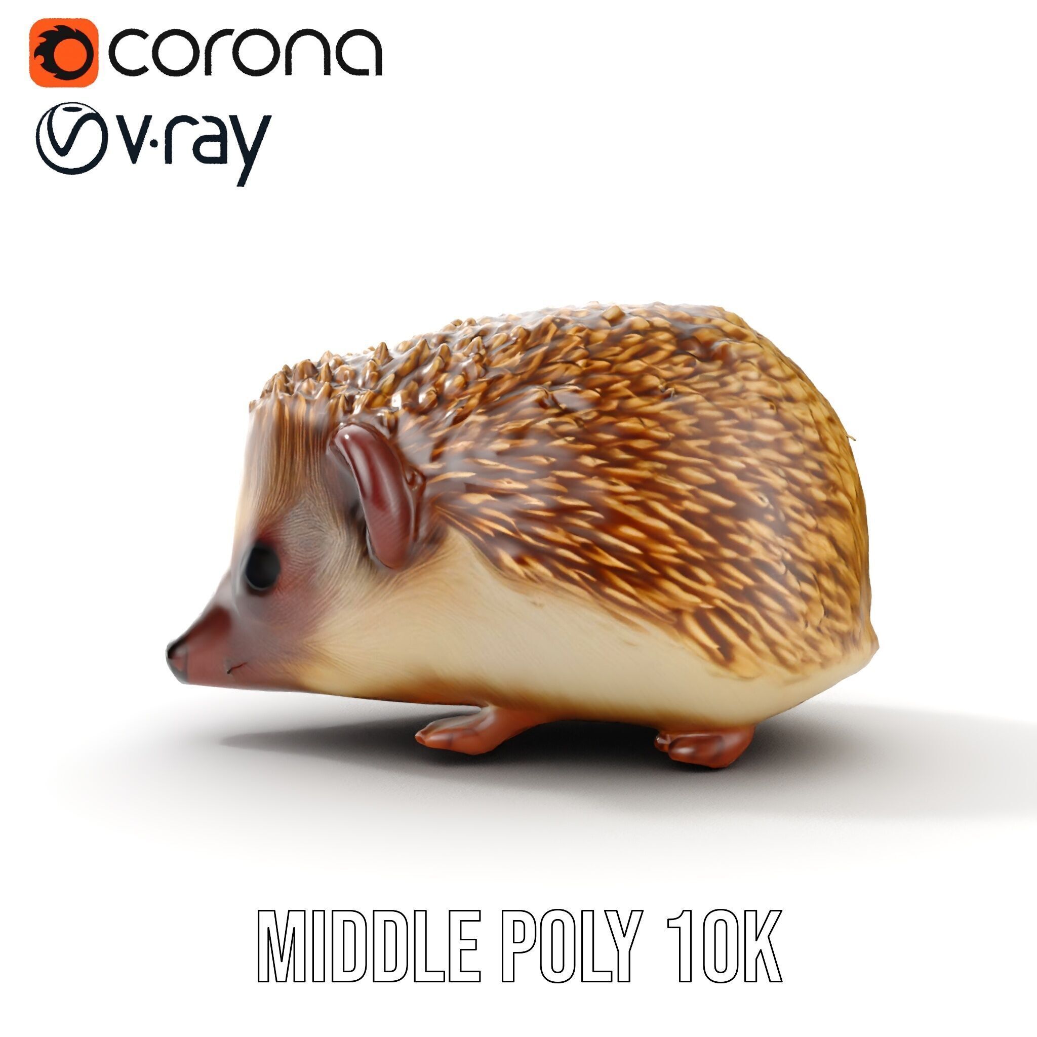 Hedgehog D Model Pack with Detailed Texturing Low-poly 3D model_17