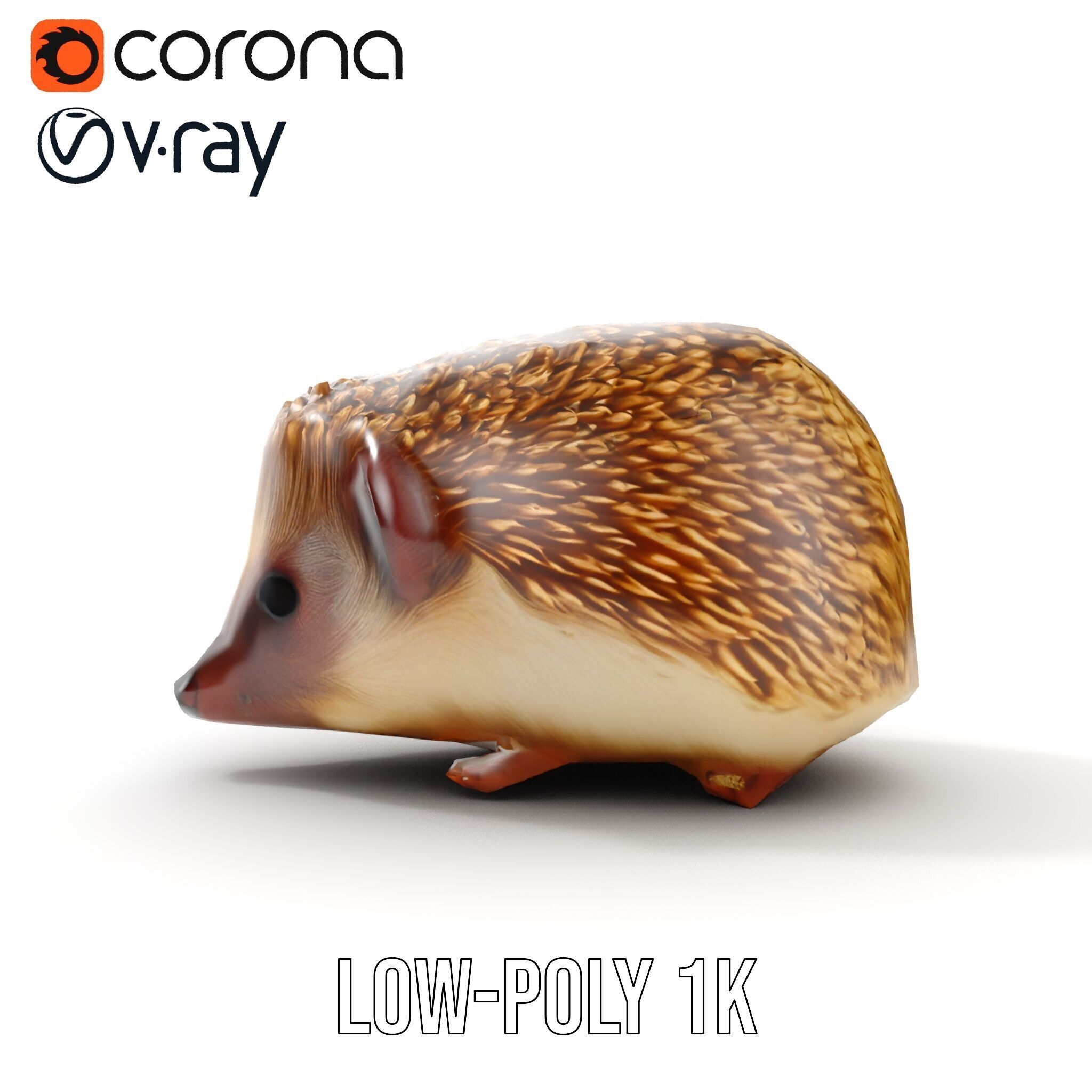 Hedgehog D Model Pack with Detailed Texturing Low-poly 3D model_18