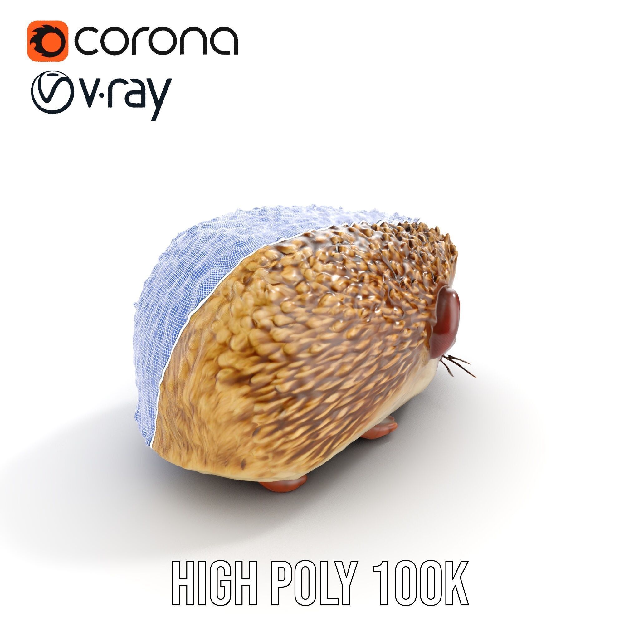 Hedgehog D Model Pack with Detailed Texturing Low-poly 3D model_37