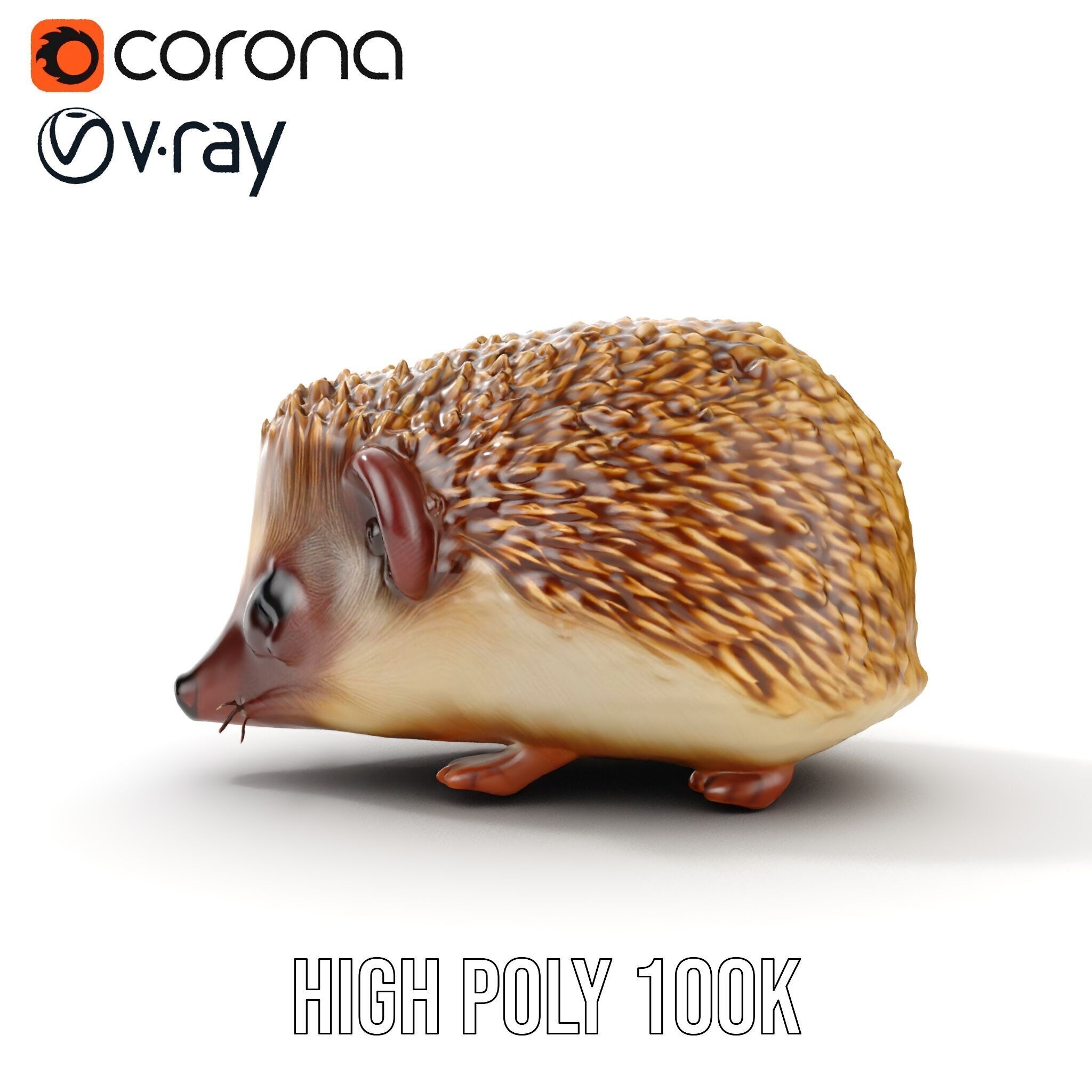 Hedgehog D Model Pack with Detailed Texturing Low-poly 3D model_32