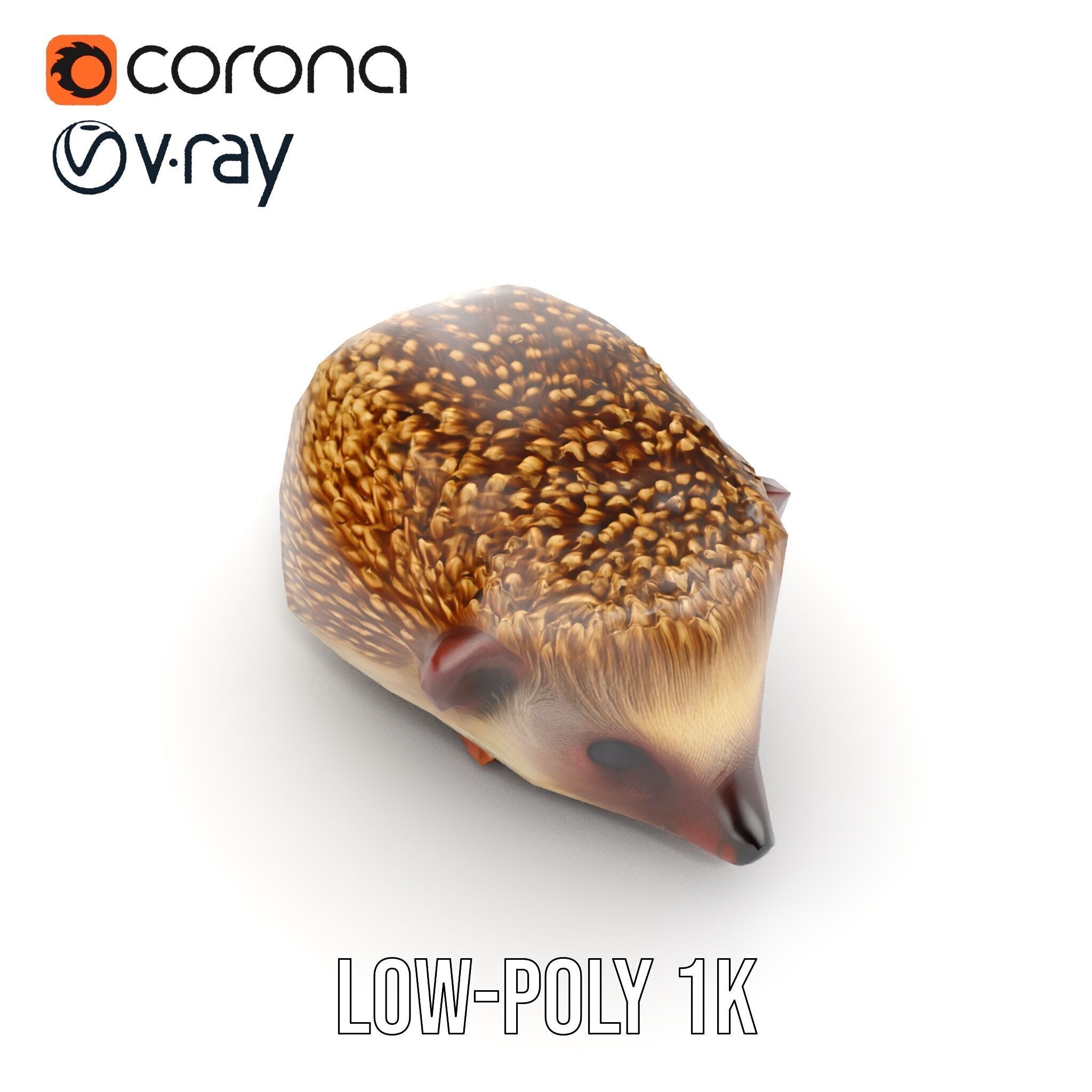 Hedgehog D Model Pack with Detailed Texturing Low-poly 3D model_13