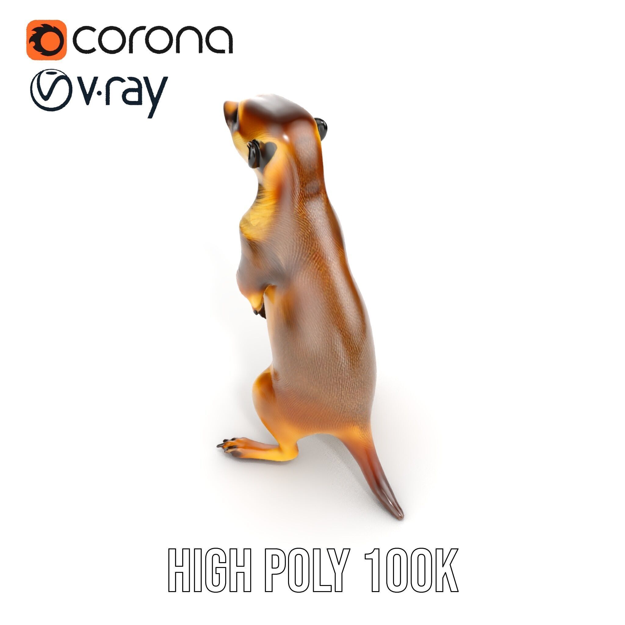 Meerkat Model Pack for CG Rendering and Animation Low-poly 3D model_30
