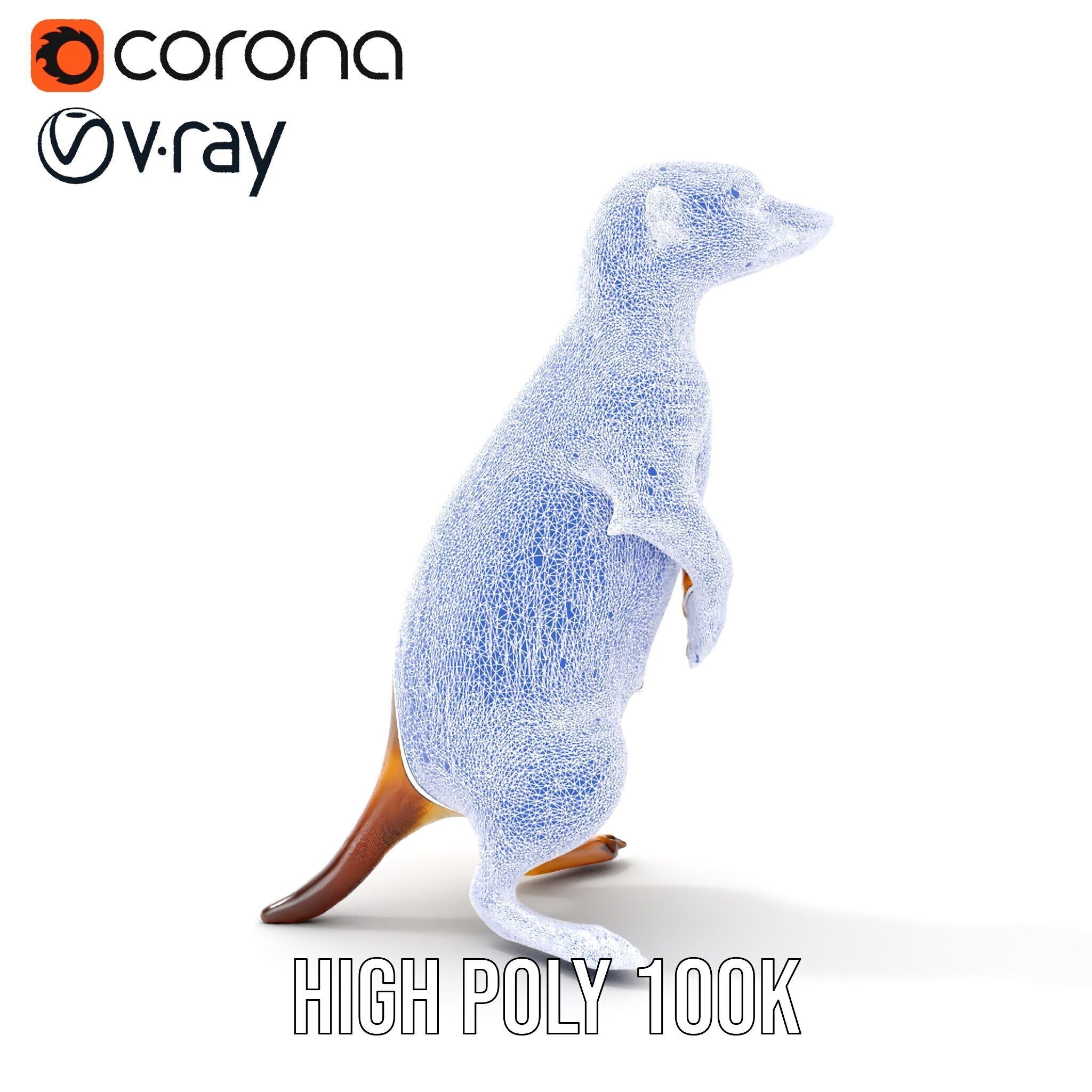 Meerkat Model Pack for CG Rendering and Animation Low-poly 3D model_24