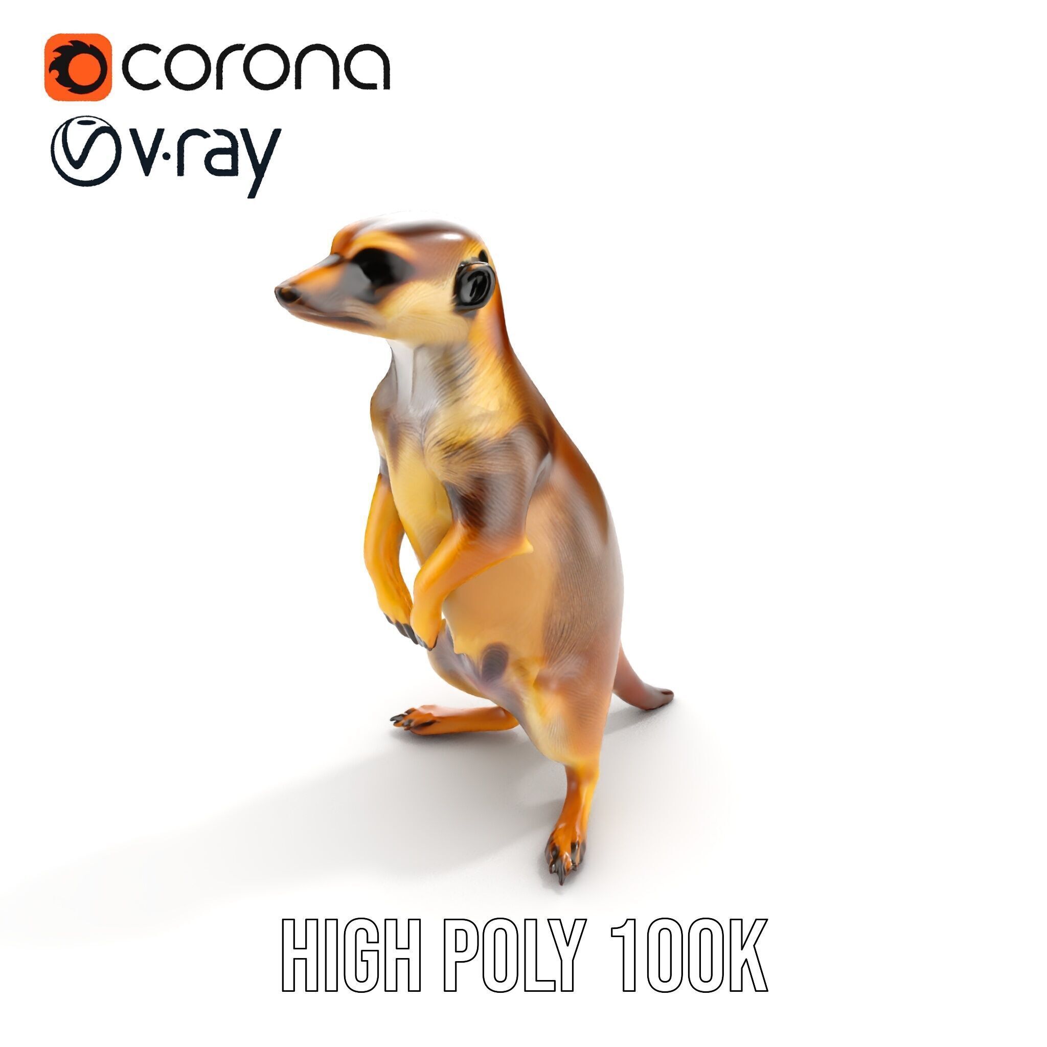 Meerkat Model Pack for CG Rendering and Animation Low-poly 3D model_21