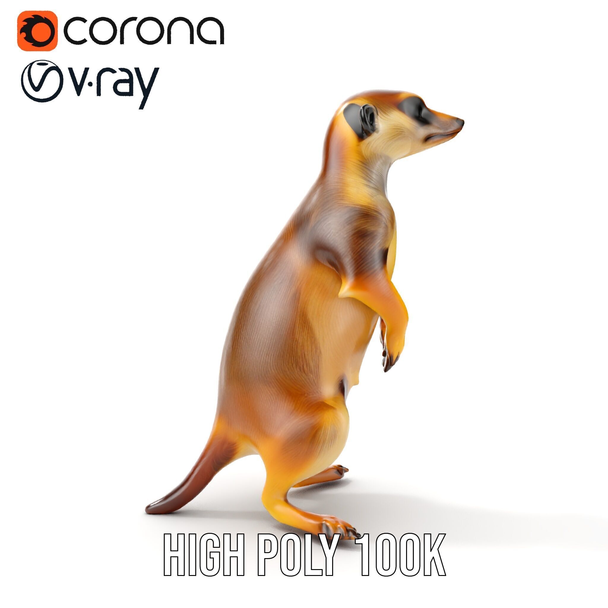 Meerkat Model Pack for CG Rendering and Animation Low-poly 3D model_7