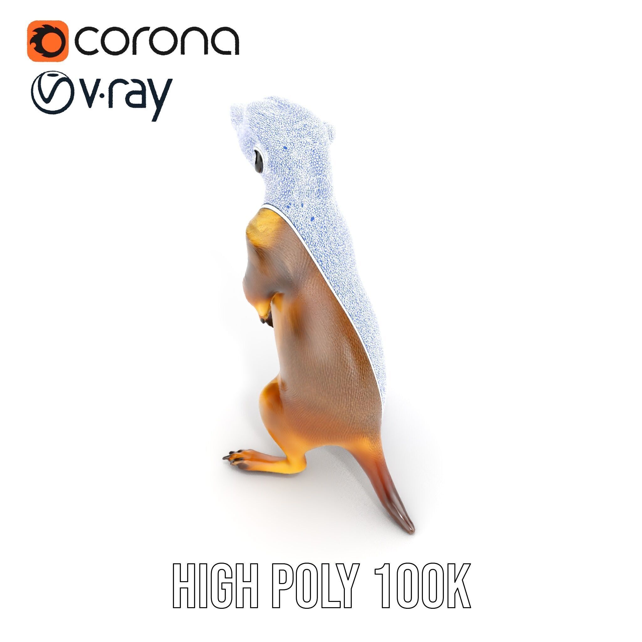 Meerkat Model Pack for CG Rendering and Animation Low-poly 3D model_25