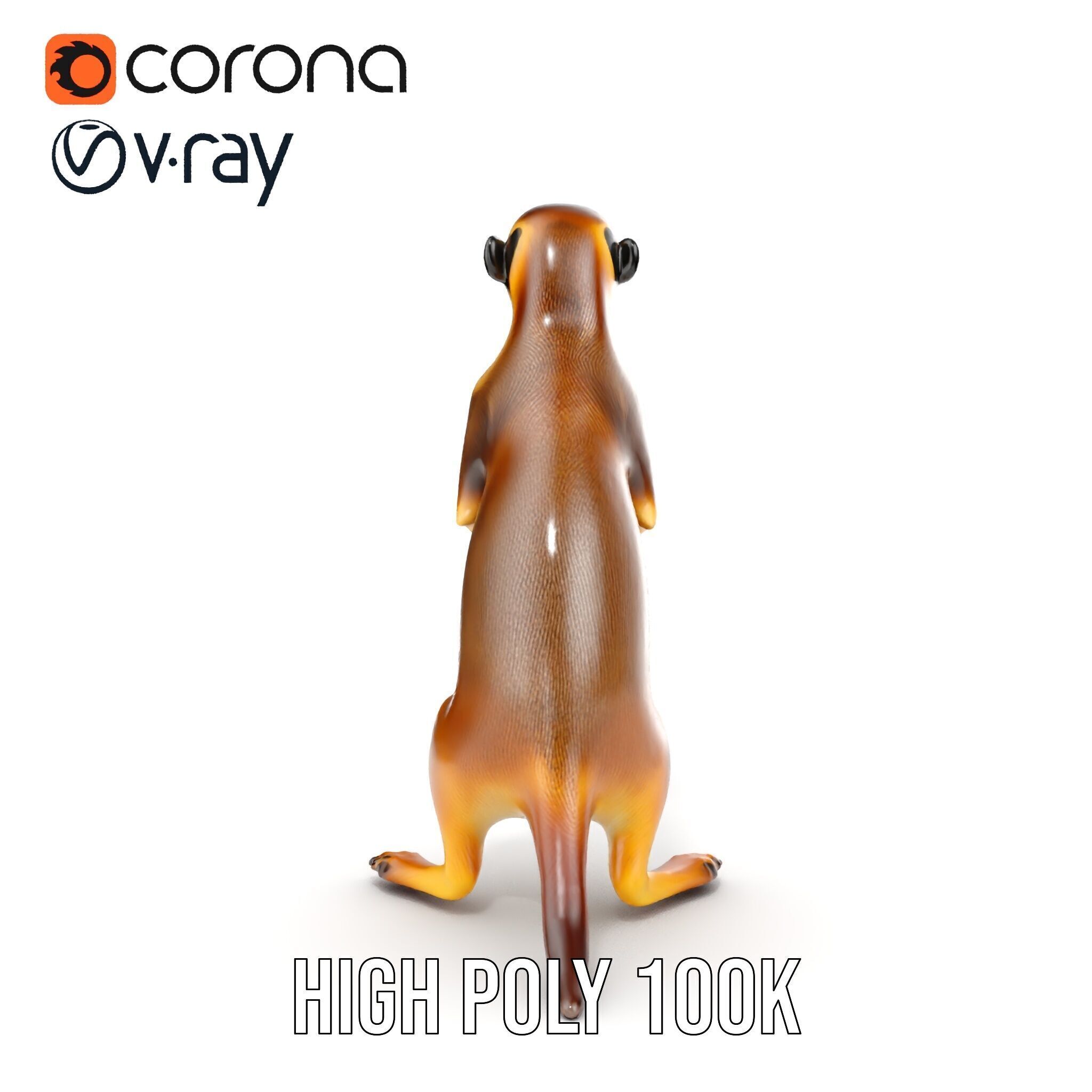 Meerkat Model Pack for CG Rendering and Animation Low-poly 3D model_27