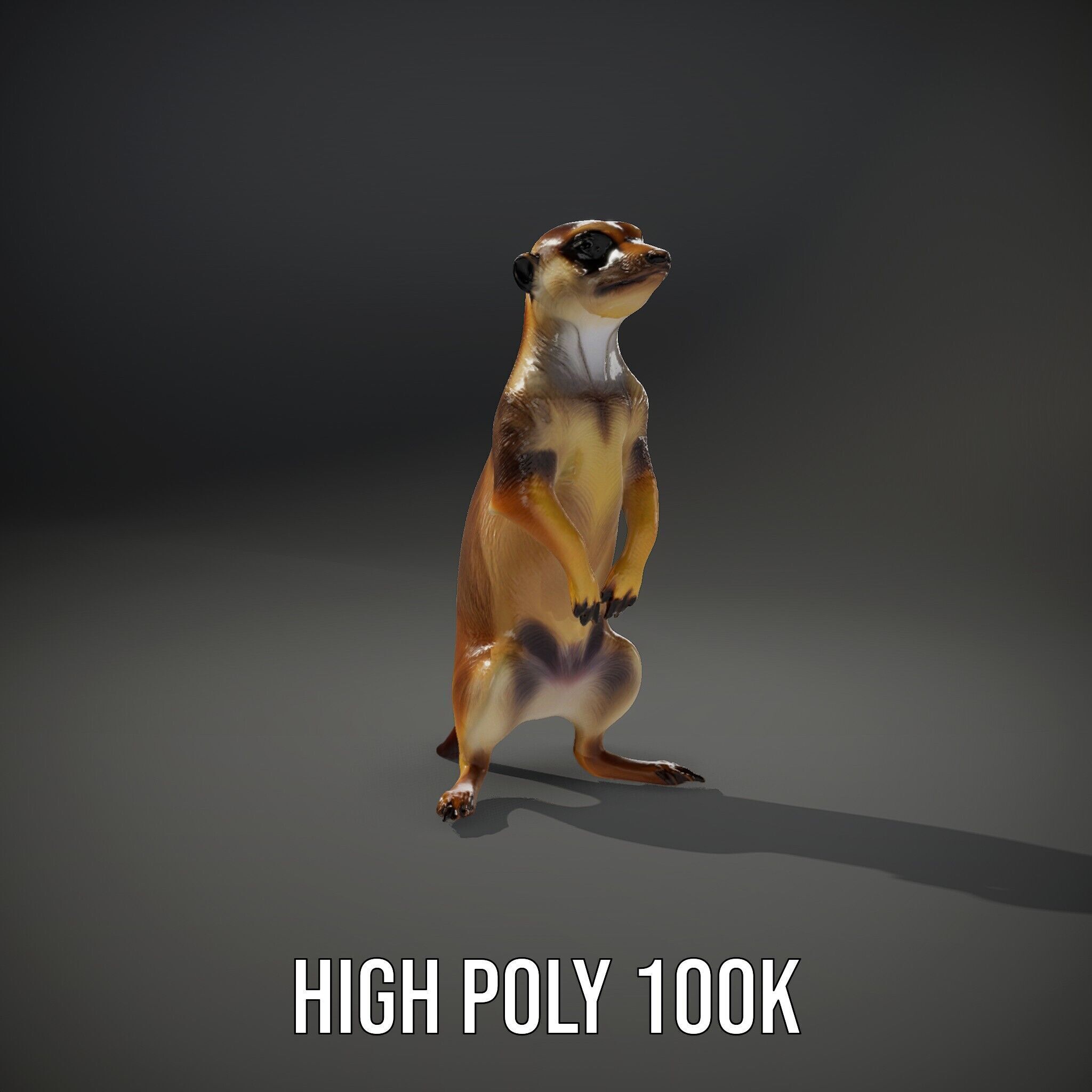 Meerkat Model Pack for CG Rendering and Animation Low-poly 3D model_12