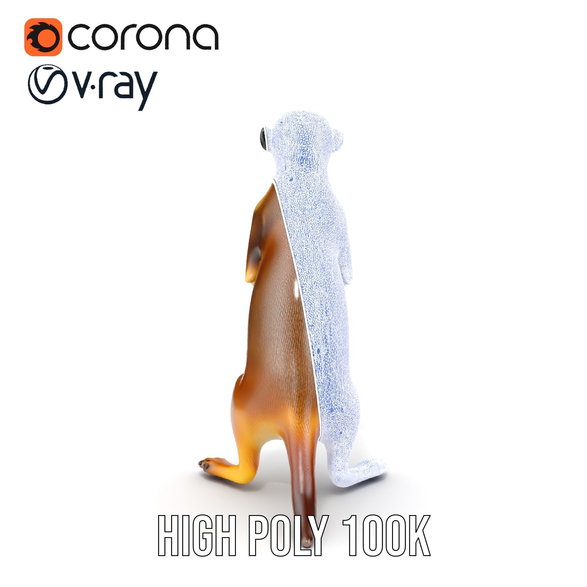 Meerkat Model Pack for CG Rendering and Animation Low-poly 3D model_22