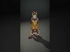 Meerkat Model Pack for CG Rendering and Animation Low-poly 3D model_2
