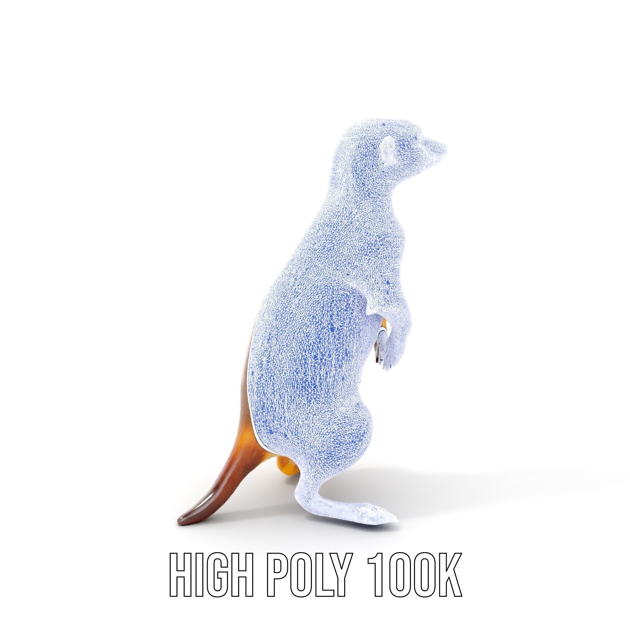 Meerkat Model Pack for CG Rendering and Animation Low-poly 3D model_5
