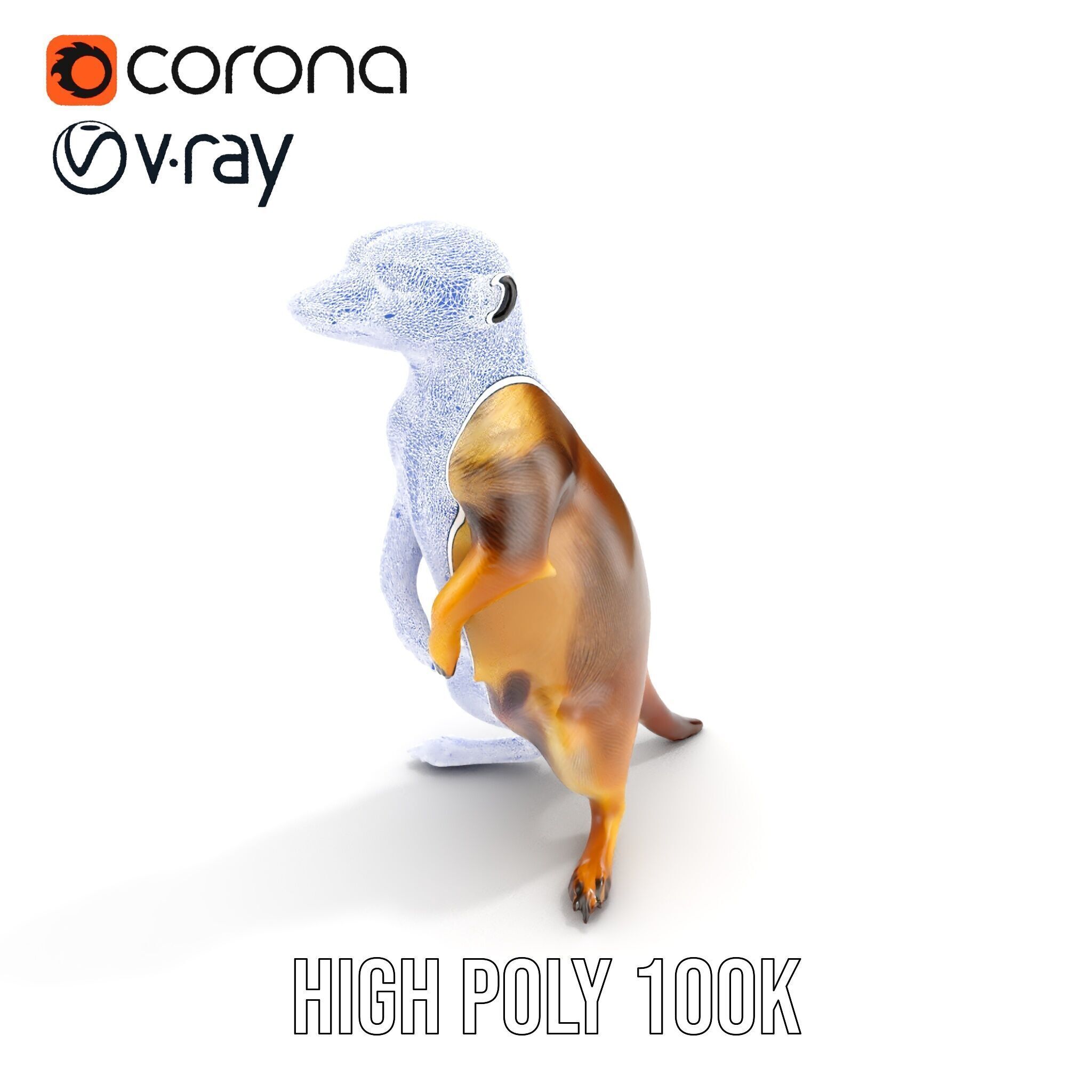 Meerkat Model Pack for CG Rendering and Animation Low-poly 3D model_37