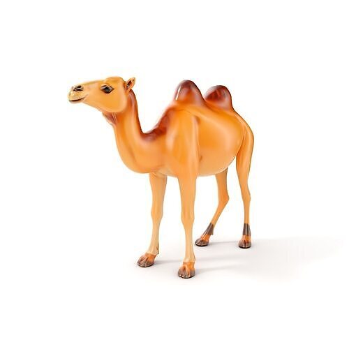 Realistic Camel Model Pack with PBR Textures Low-poly 3D model