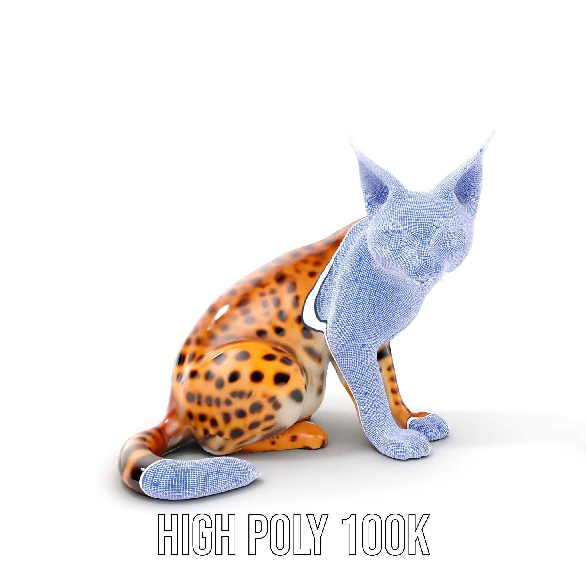 Lifelike Lynx Model Pack Dynamic Wildlife Collection Low-poly 3D model_5
