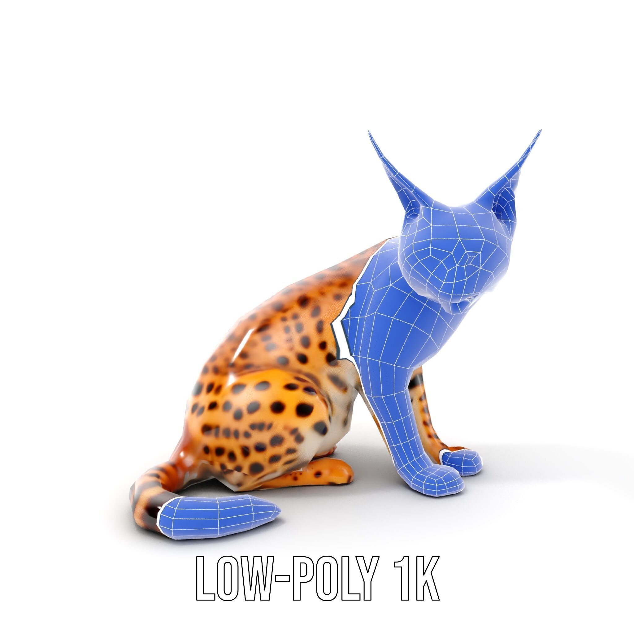 Lifelike Lynx Model Pack Dynamic Wildlife Collection Low-poly 3D model_22