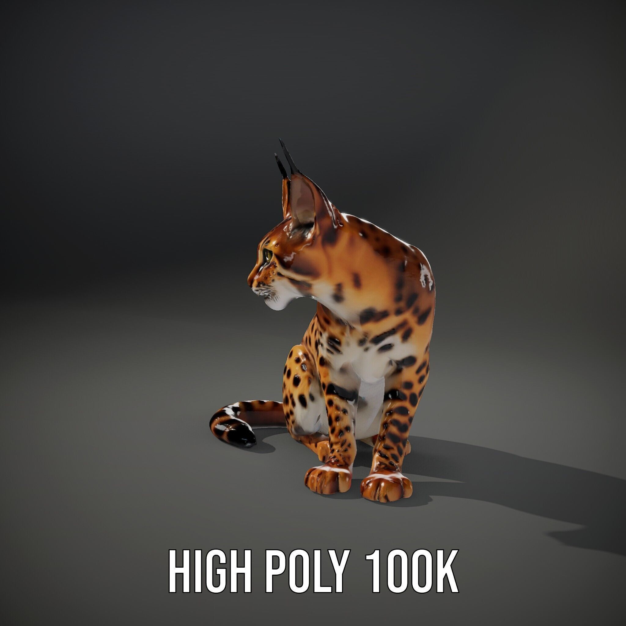 Lifelike Lynx Model Pack Dynamic Wildlife Collection Low-poly 3D model_9