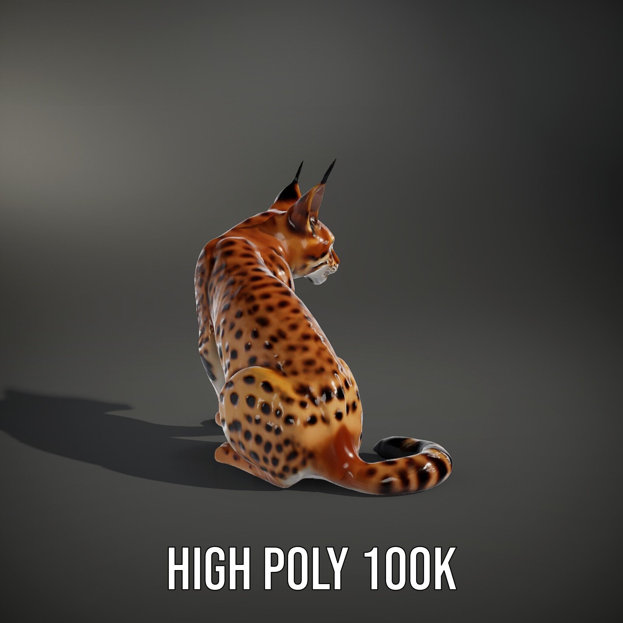 Lifelike Lynx Model Pack Dynamic Wildlife Collection Low-poly 3D model_15
