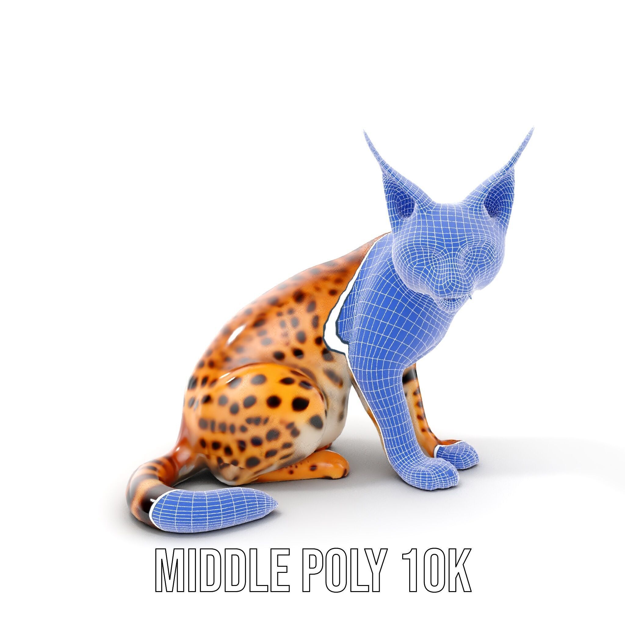 Lifelike Lynx Model Pack Dynamic Wildlife Collection Low-poly 3D model_21