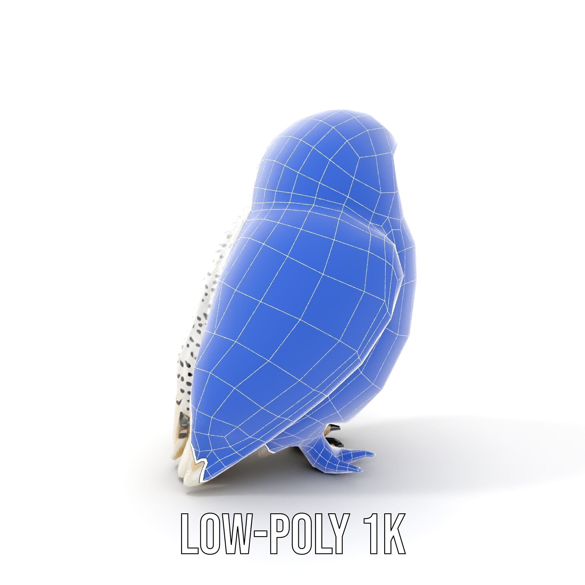 Snowy Owl D Model Pack Low-poly 3D model_19