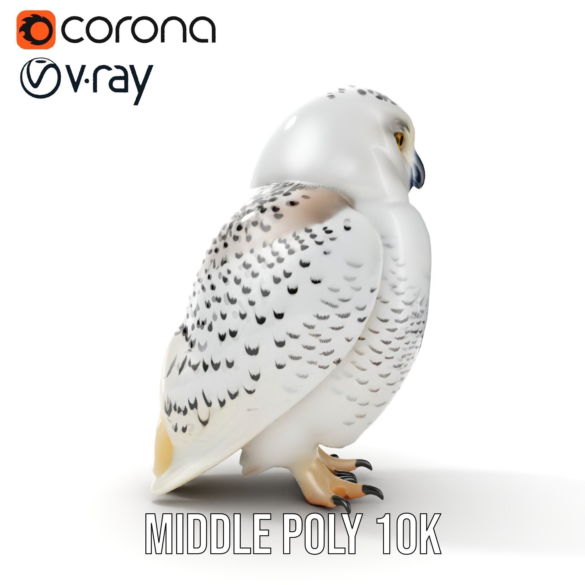 Snowy Owl D Model Pack Low-poly 3D model_10