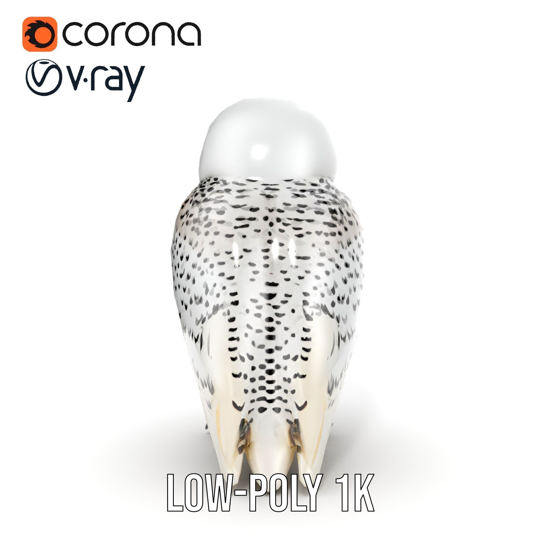 Snowy Owl D Model Pack Low-poly 3D model_11