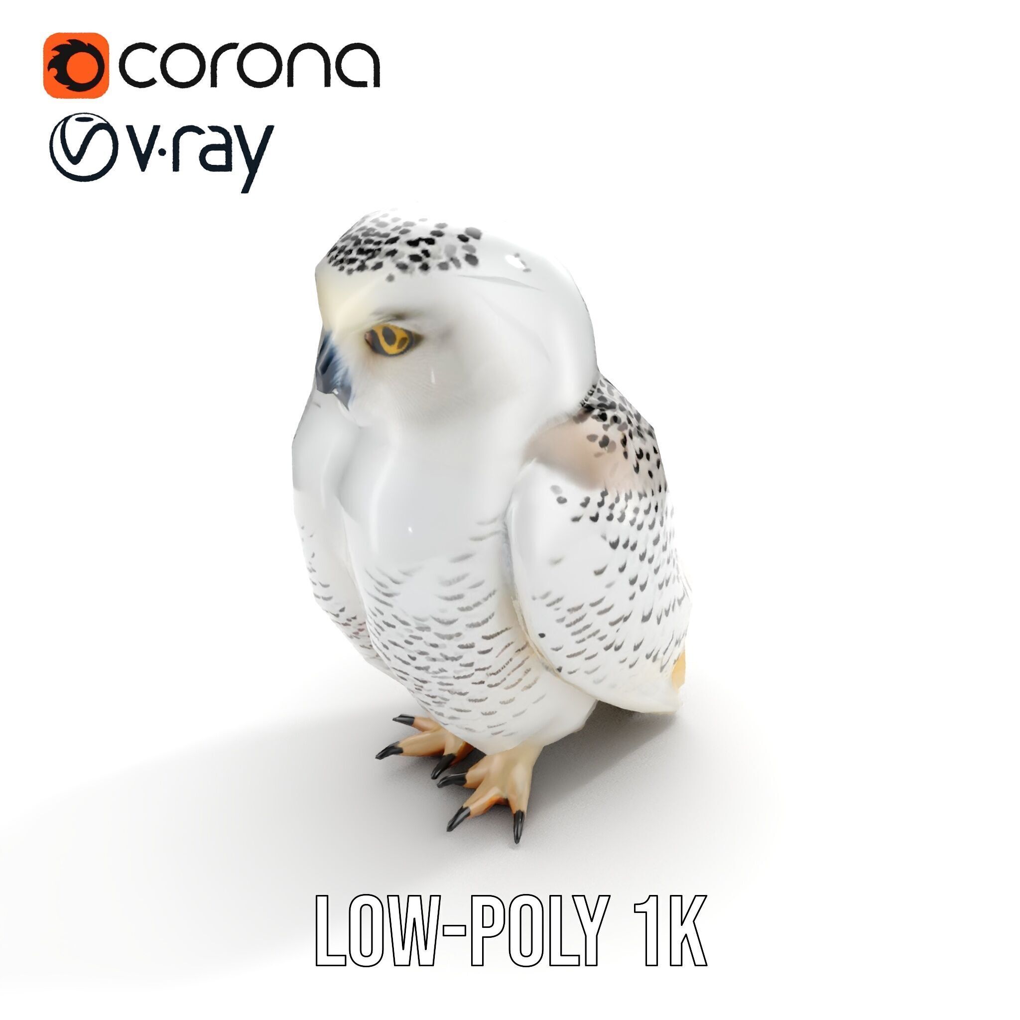 Snowy Owl D Model Pack Low-poly 3D model_24