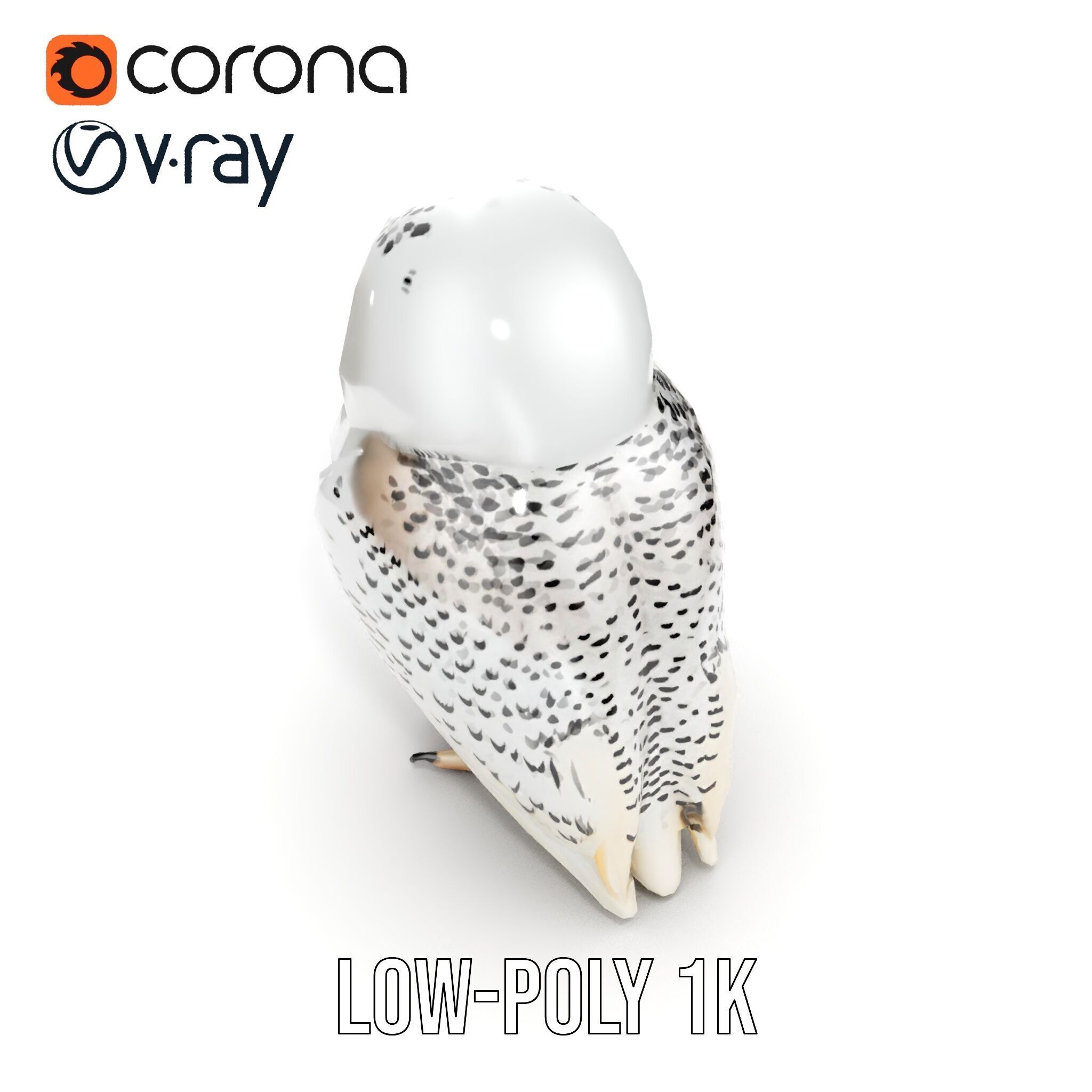 Snowy Owl D Model Pack Low-poly 3D model_14