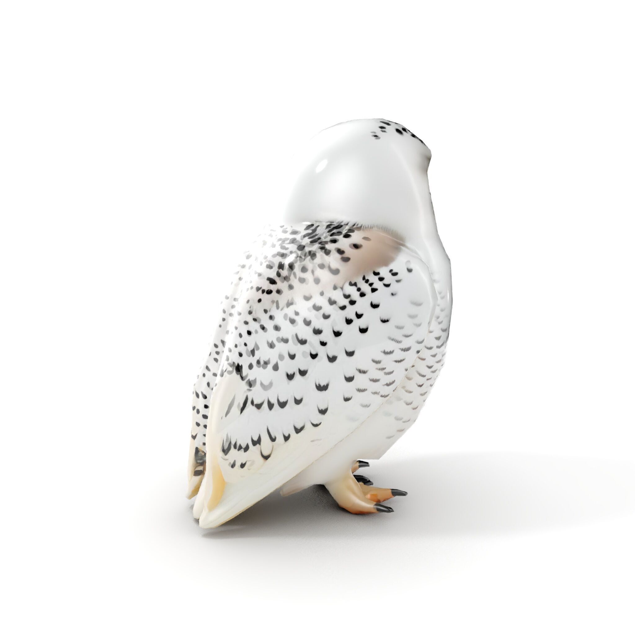 Snowy Owl D Model Pack Low-poly 3D model_17