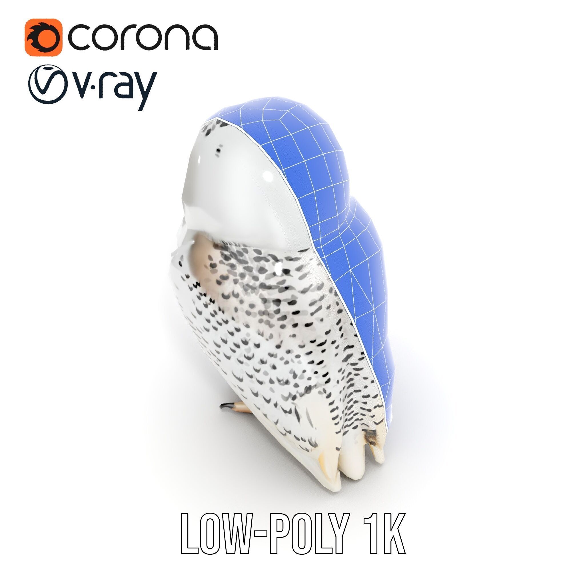 Snowy Owl D Model Pack Low-poly 3D model_30