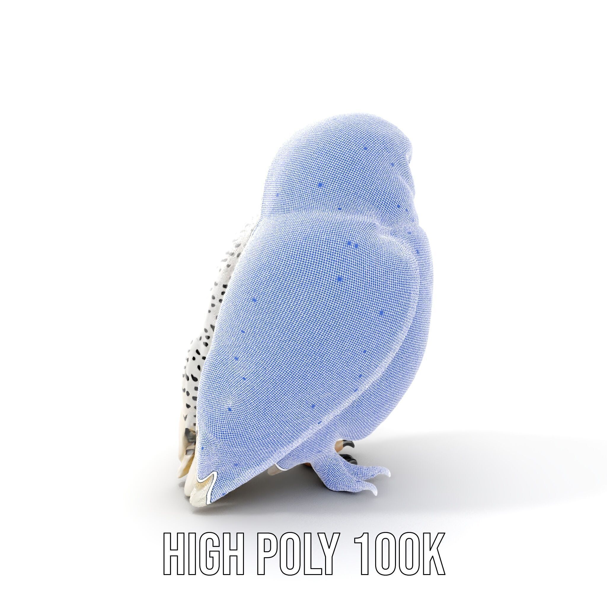 Snowy Owl D Model Pack Low-poly 3D model_5