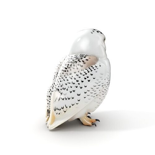 Snowy Owl D Model Pack Low-poly 3D model