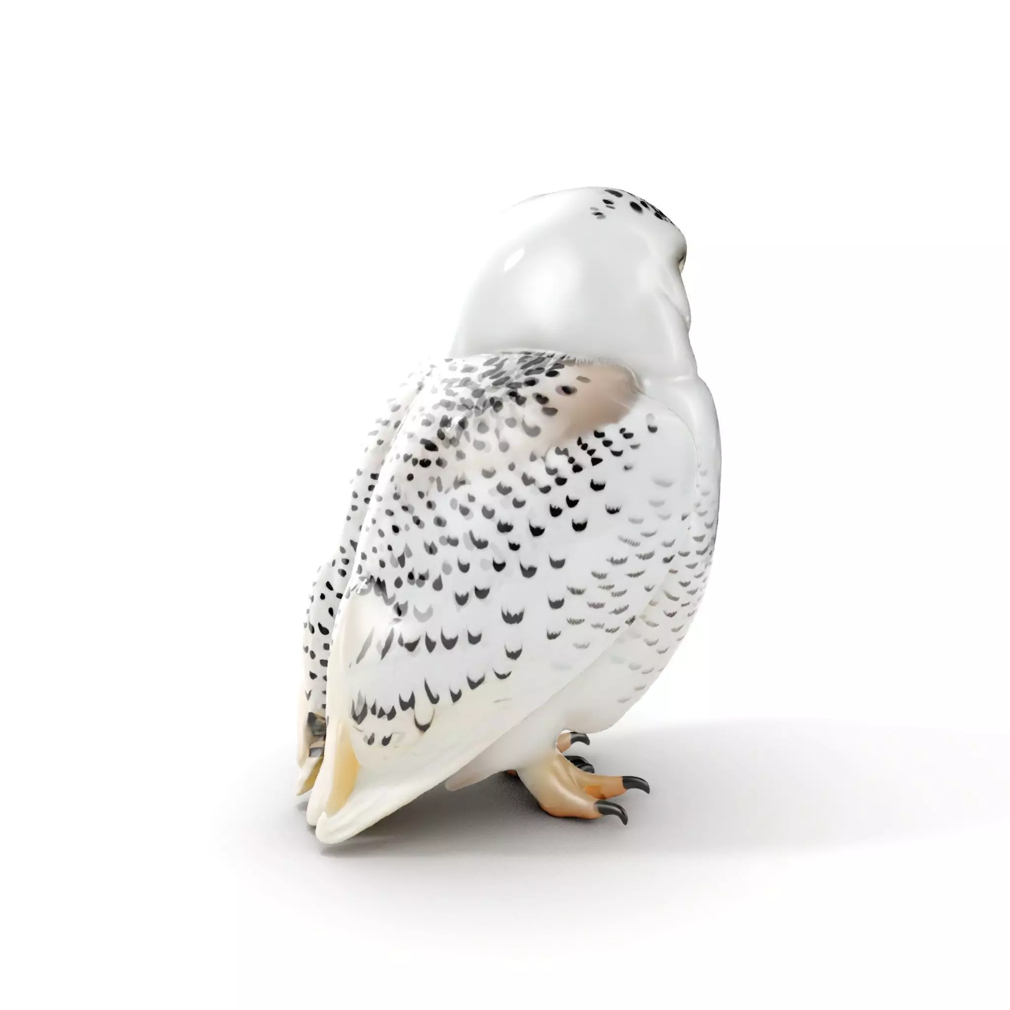 Snowy Owl D Model Pack Low-poly 3D model_0