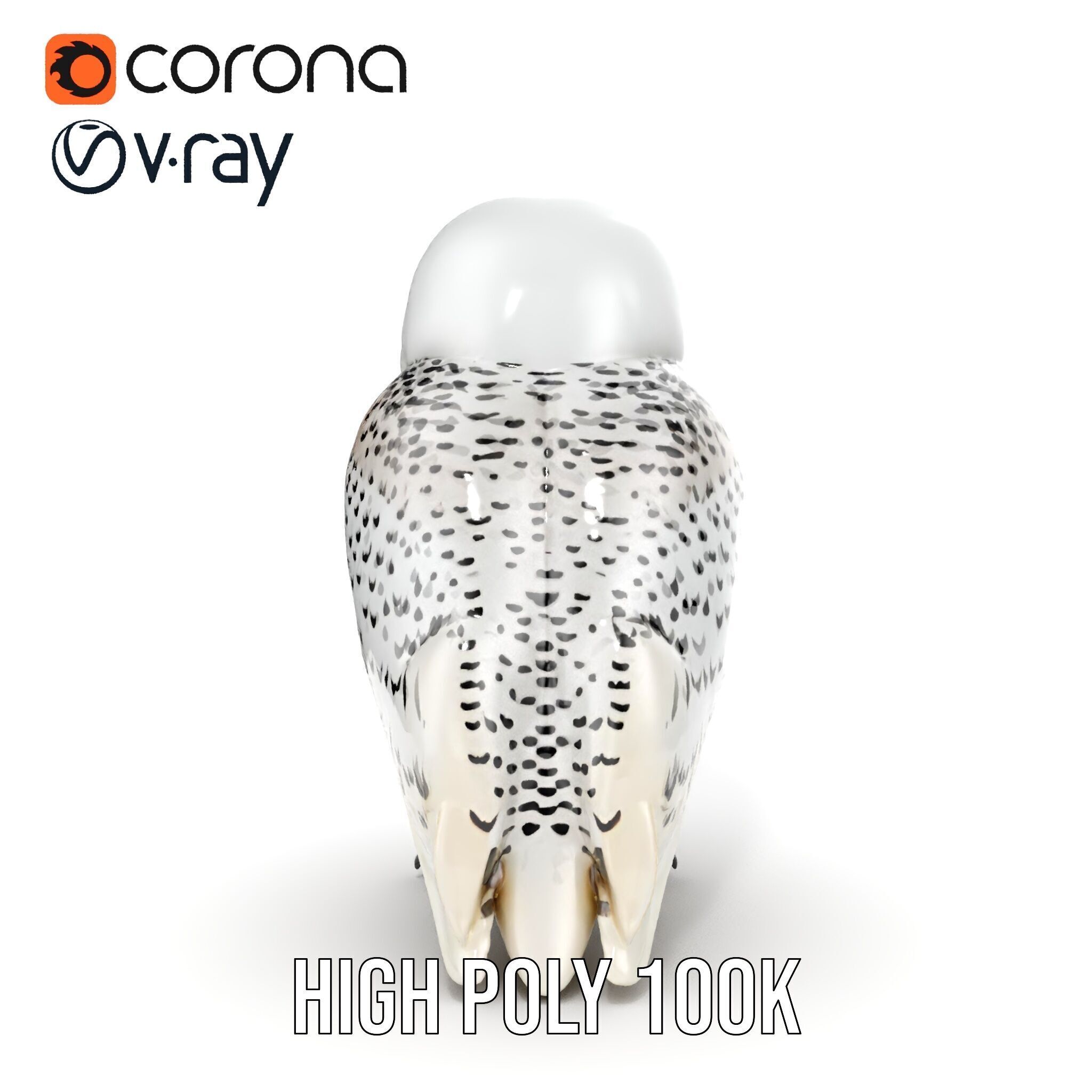 Snowy Owl D Model Pack Low-poly 3D model_28