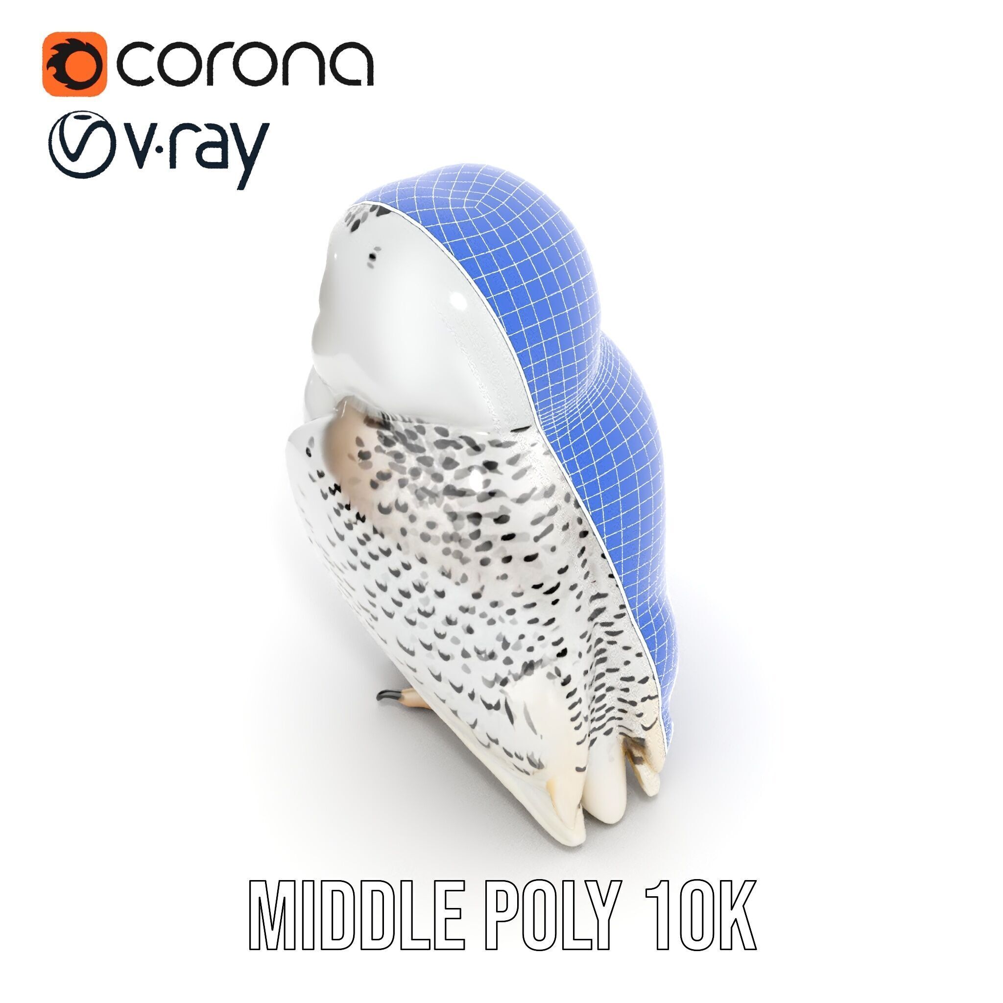 Snowy Owl D Model Pack Low-poly 3D model_32