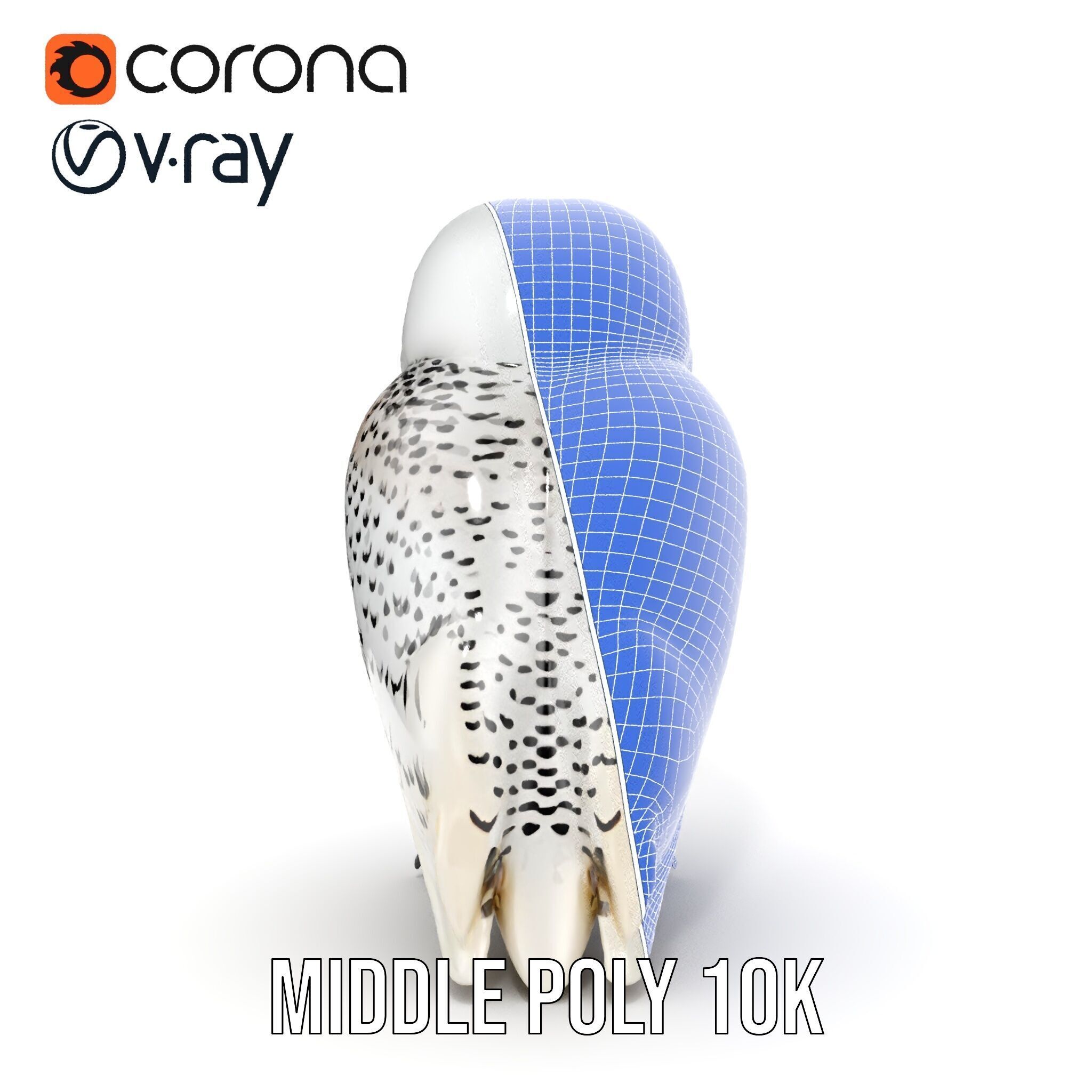 Snowy Owl D Model Pack Low-poly 3D model_21