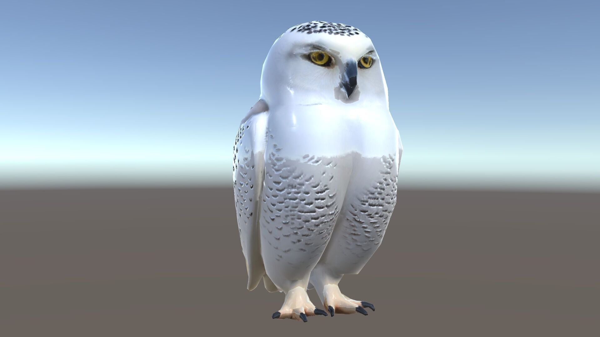 Snowy Owl D Model Pack Low-poly 3D model_35